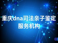 重庆dna司法亲子鉴定服务机构