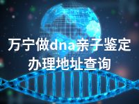 万宁做dna亲子鉴定办理地址查询