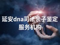 延安dna司法亲子鉴定服务机构