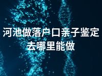 河池做落户口亲子鉴定去哪里能做