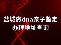 盐城做dna亲子鉴定办理地址查询