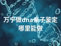 万宁做dna亲子鉴定哪里能做