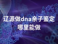 辽源做dna亲子鉴定哪里能做