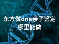 东方做dna亲子鉴定哪里能做