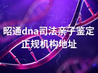 昭通dna司法亲子鉴定正规机构地址