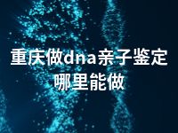 重庆做dna亲子鉴定哪里能做