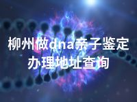 柳州做dna亲子鉴定办理地址查询