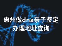 惠州做dna亲子鉴定办理地址查询