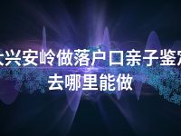 大兴安岭做落户口亲子鉴定去哪里能做