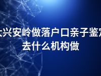 大兴安岭做落户口亲子鉴定去什么机构做