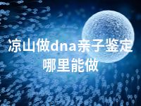 凉山做dna亲子鉴定哪里能做