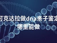 可克达拉做dna亲子鉴定哪里能做