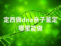 定西做dna亲子鉴定哪里能做