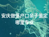安庆做落户口亲子鉴定哪里专业