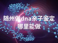 随州做dna亲子鉴定哪里能做