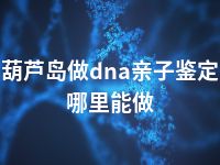 葫芦岛做dna亲子鉴定哪里能做