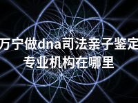 万宁做dna司法亲子鉴定专业机构在哪里