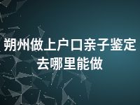 朔州做上户口亲子鉴定去哪里能做