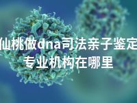 仙桃做dna司法亲子鉴定专业机构在哪里