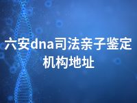 六安dna司法亲子鉴定机构地址