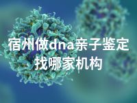 宿州做dna亲子鉴定找哪家机构