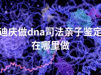 迪庆做dna司法亲子鉴定在哪里做