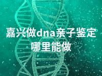 嘉兴做dna亲子鉴定哪里能做