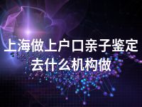 上海做上户口亲子鉴定去什么机构做