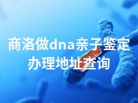 商洛做dna亲子鉴定办理地址查询