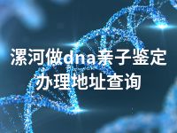 漯河做dna亲子鉴定办理地址查询