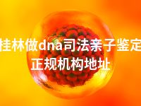 桂林做dna司法亲子鉴定正规机构地址