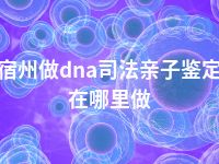 宿州做dna司法亲子鉴定在哪里做