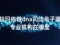 克拉玛依做dna司法亲子鉴定专业机构在哪里