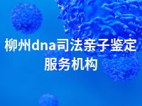 柳州dna司法亲子鉴定服务机构