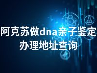 阿克苏做dna亲子鉴定办理地址查询