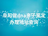 阜阳做dna亲子鉴定办理地址查询