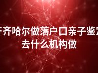 齐齐哈尔做落户口亲子鉴定去什么机构做