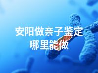 安阳做亲子鉴定哪里能做