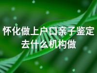 怀化做上户口亲子鉴定去什么机构做