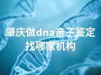 肇庆做dna亲子鉴定找哪家机构