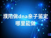 濮阳做dna亲子鉴定哪里能做