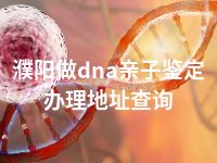 濮阳做dna亲子鉴定办理地址查询