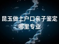 昆玉做上户口亲子鉴定哪里专业