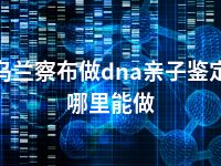 乌兰察布做dna亲子鉴定哪里能做