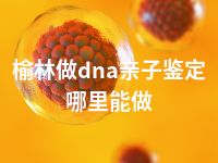 榆林做dna亲子鉴定哪里能做