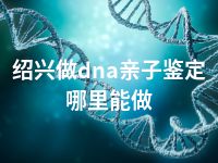 绍兴做dna亲子鉴定哪里能做