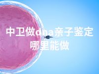 中卫做dna亲子鉴定哪里能做