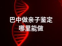 巴中做亲子鉴定哪里能做