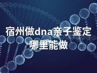 宿州做dna亲子鉴定哪里能做