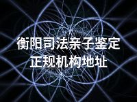 衡阳司法亲子鉴定正规机构地址